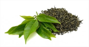 Le thé vert et certains jus de fruits inhibent le SRAS-CoV-2 in vitro
