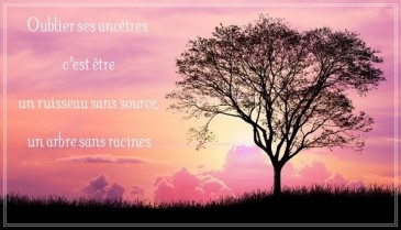 Proverbe du jour: Proverbe chinois
