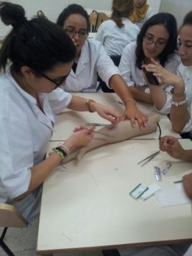 Atelier de simulation: Initiation aux techniques de suture.