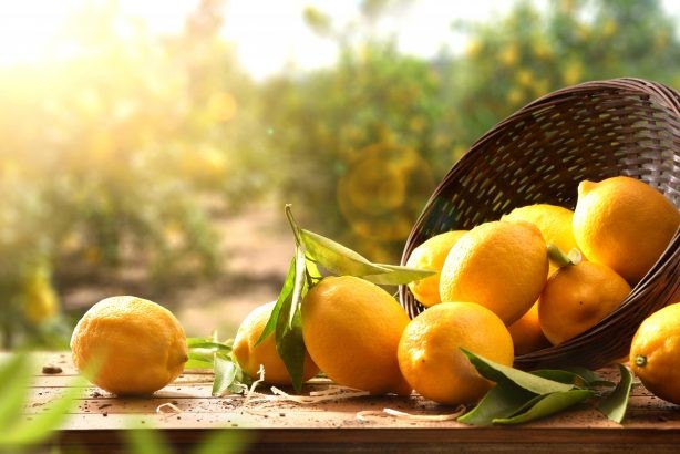 Naturellement vôtre: Les bienfaits des citrons