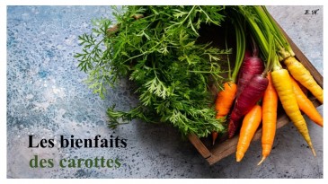 Naturellement vôtre: Les bienfaits  des carottes