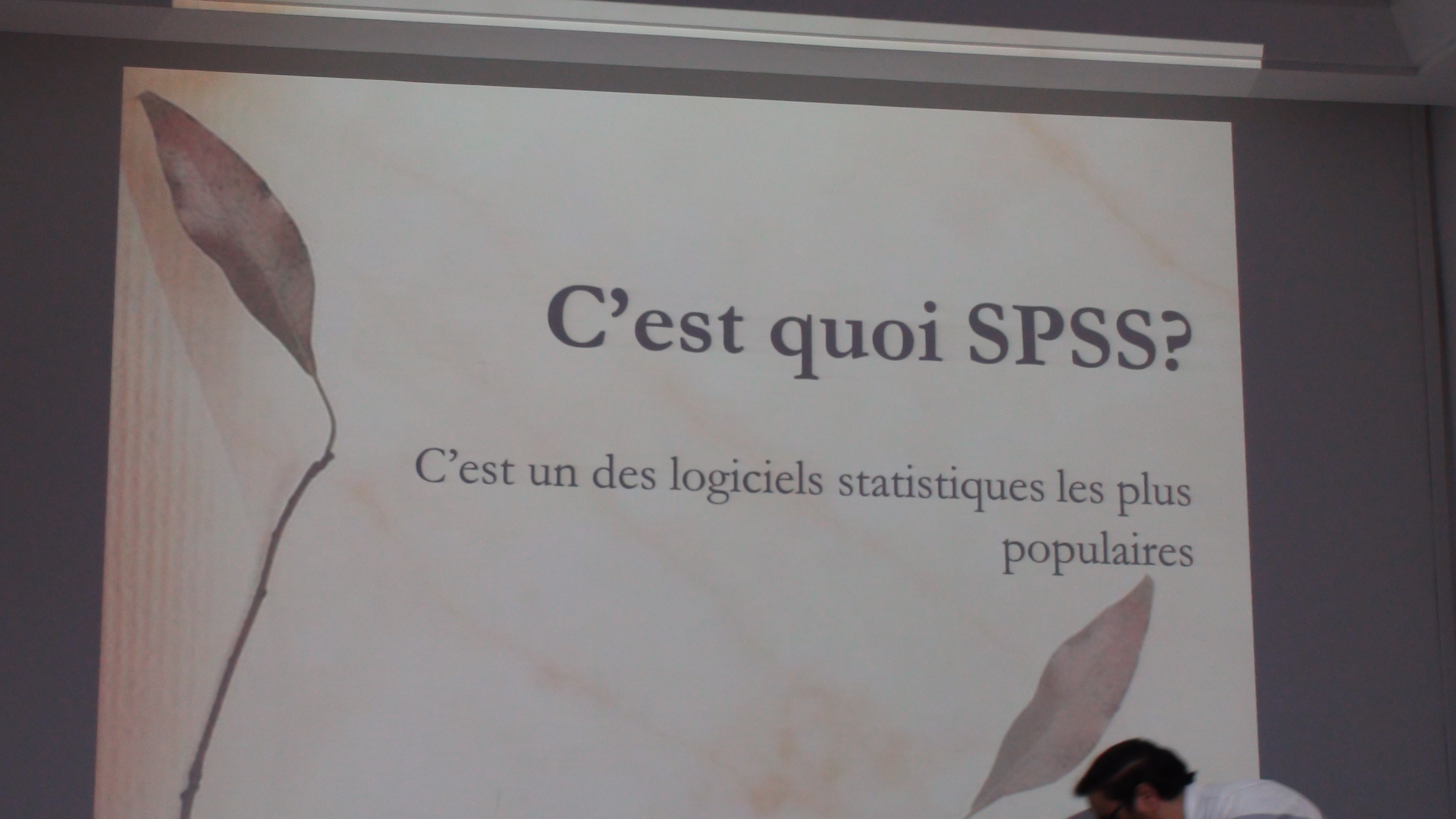 Formation SPSS