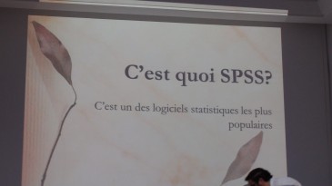 Formation SPSS